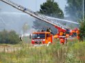 Feuer Koeln Ossendorf Butzweiler Hof neben IKEA P152